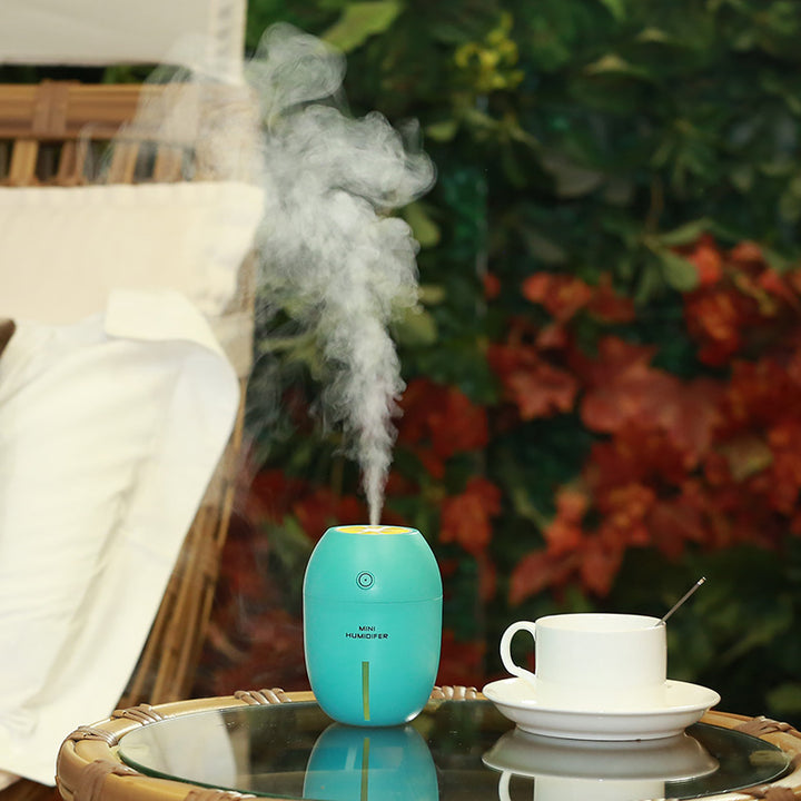 USB LEMON HUMIDIFIER - Gifthub SG