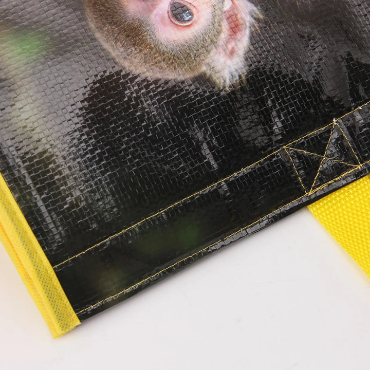 Insulated Cooler Bags - Gifthub SG