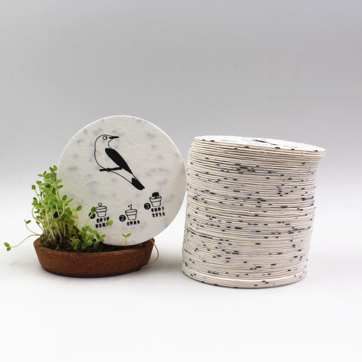 Seed-Coaster_34672c42-779b-46f8-80a9-567ed349f919