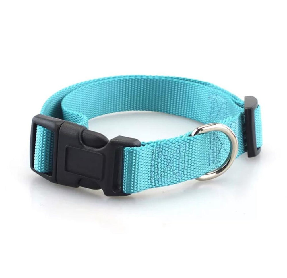 blue-pet-collars-1024x992