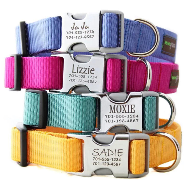 custom-printed-pet-collars