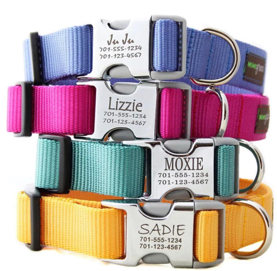 custom-printed-pet-collars