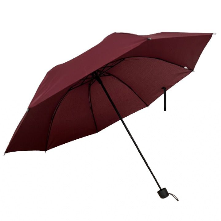 Custom Printed Umbrellas Umbrella by Gifthub SG | Gifthub SG