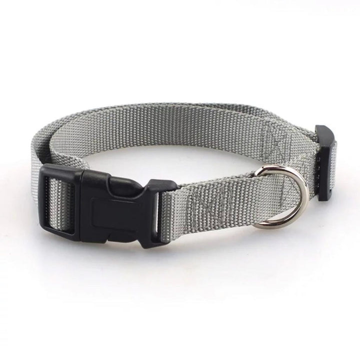 Nylon Pet Leash