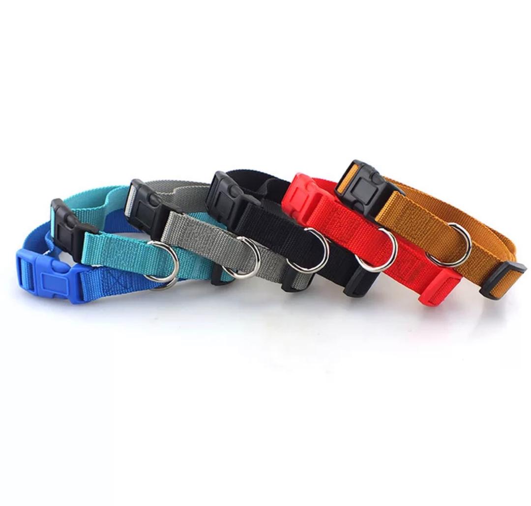 nylon-pet-leash