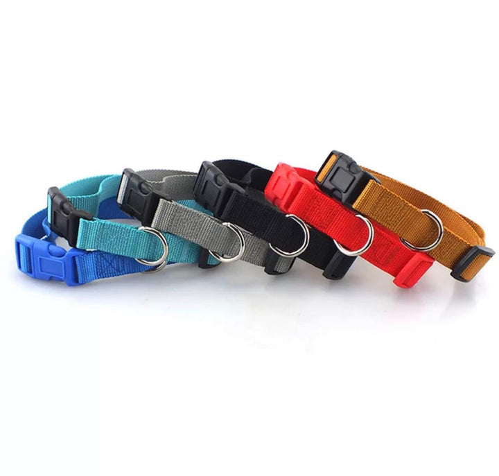 nylon-pet-leash