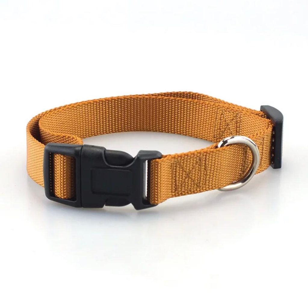 orange-pet-collars-1024x989