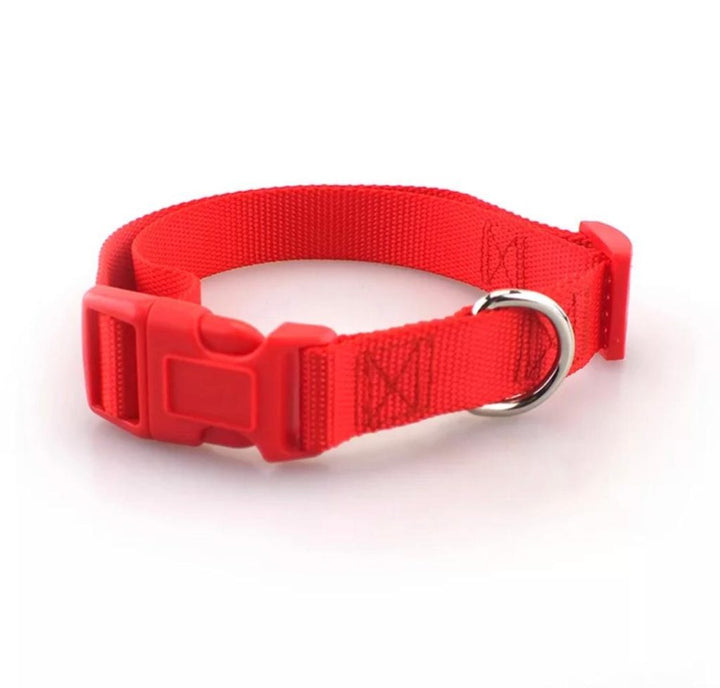 red-pet-collars-1024x979