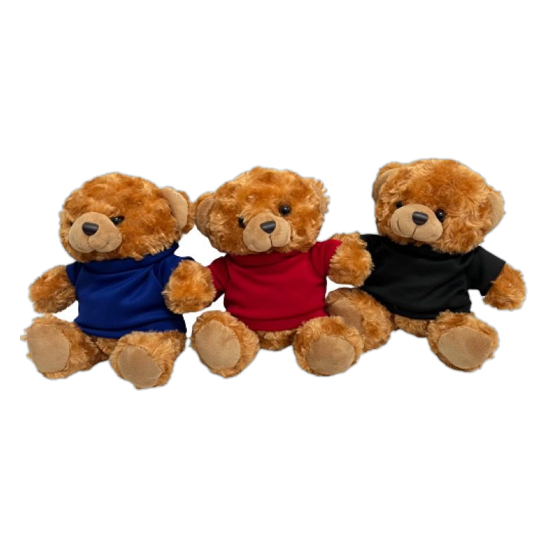 Custom teddy bear soft toys Singapore