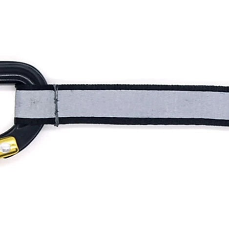 Carabiner Keyring