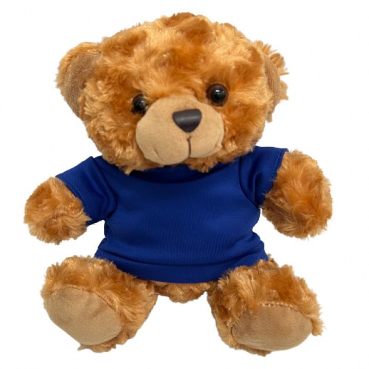 Custom-Teddy-Bear