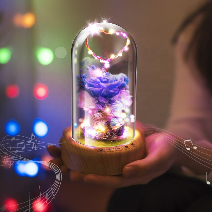 DREAMER GLASS DOME SPEAKER