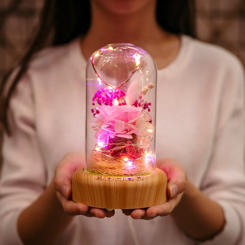 DREAMER GLASS DOME SPEAKER