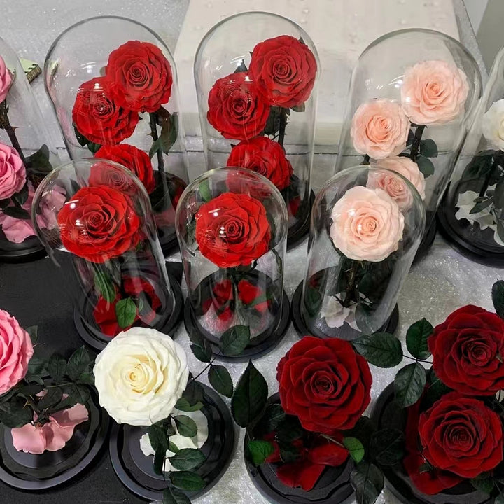 ROSES IN GLASS DOME