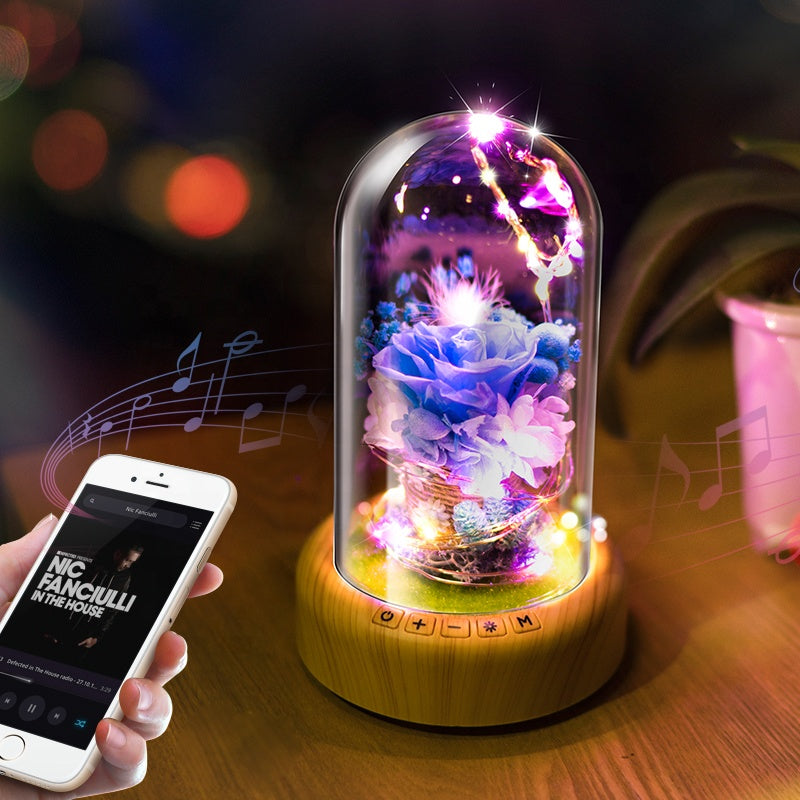 DREAMER GLASS DOME SPEAKER