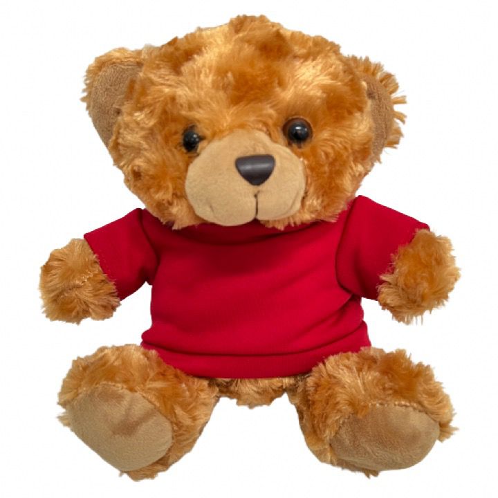 personalized-teddy-bear