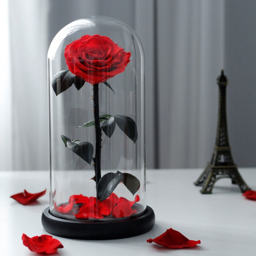 ROSES IN GLASS DOME 14*21cm Roses in glass dome by Gifthub SG | Gifthub SG